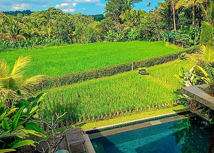 Dukuh Ubud 帕洋安