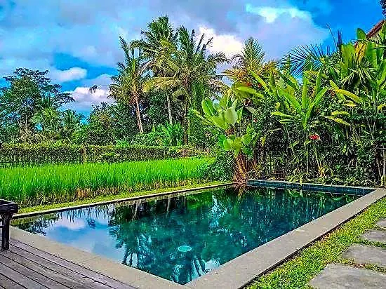 Dukuh Ubud 4* Payangan