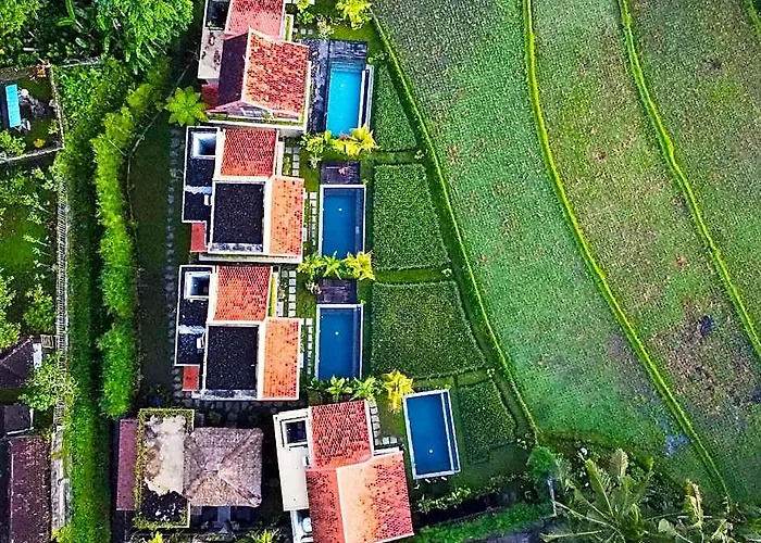 Dukuh Ubud