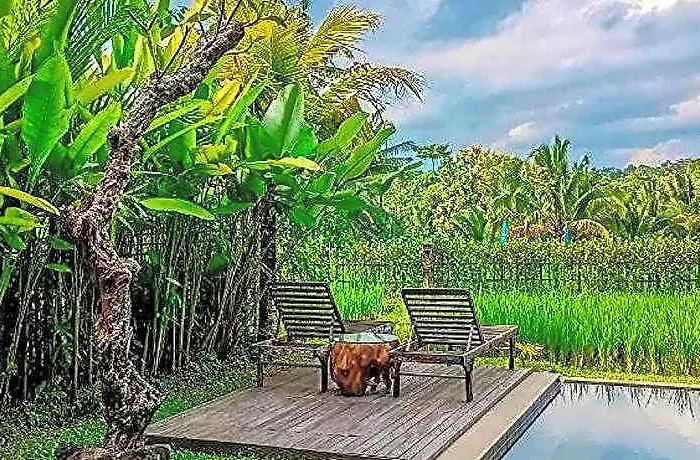 Dukuh Ubud Hotel Payangan